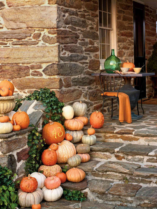 The Cozy Porch Package